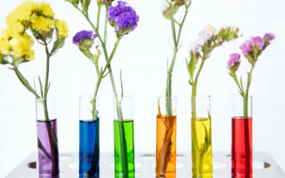 Les avantages du tube en verre pour les fleuristes