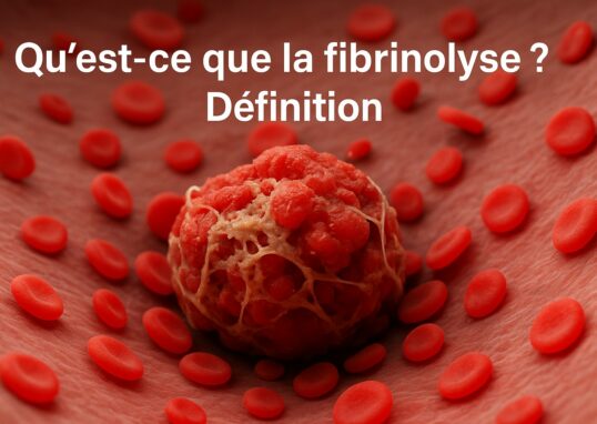 Qu'est-ce que la fibrinolyse? Définition