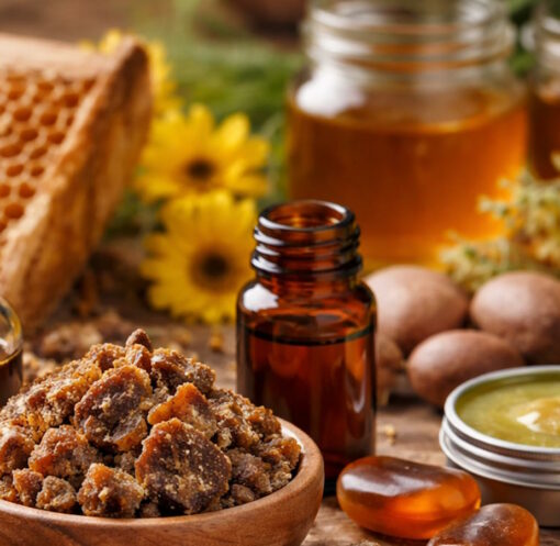 qu'est-ce que la propolis